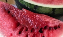 汕尾新瓜最新爆料,揭秘背后惊人真相